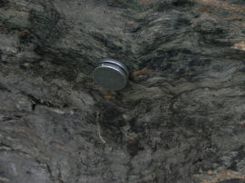 Calamita attaccata a rocce con magnetite al cippo n.2 del Belvedere Alto (30156 bytes)